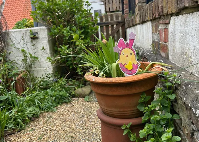 Saltwick Nyaraló Whitby